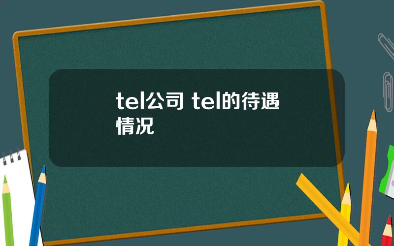 tel公司 tel的待遇情况